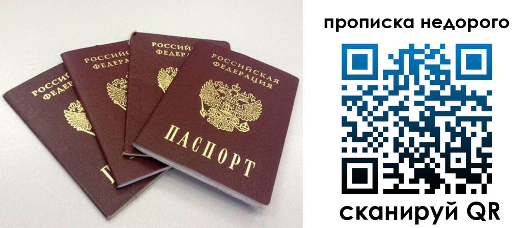 прописка законно в Боготоле